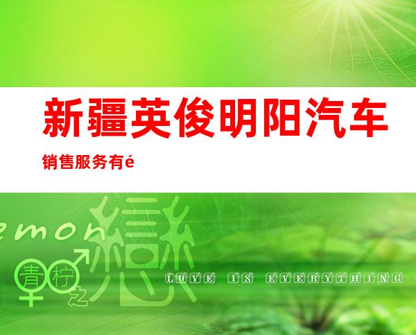 新疆英俊明阳汽车销售服务有限公司